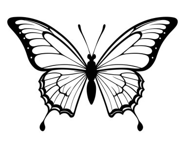Kelebek kanatlarının yakın çekim vektör silueti karmaşık desenler ve simetrik şekiller gösteriyor. Doğal sanat logoları ve dekoratif elementler için zarif böcek kanadı tasarımı ideal. Vektör illüstrasyonu