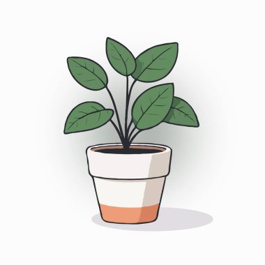 Çiçekler düz bir şekilde saksıda..