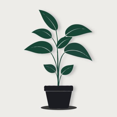 Yapraklı yeşil saksı