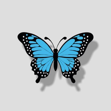 Gri arkaplan vektör çizimi üzerinde mavi kelebek