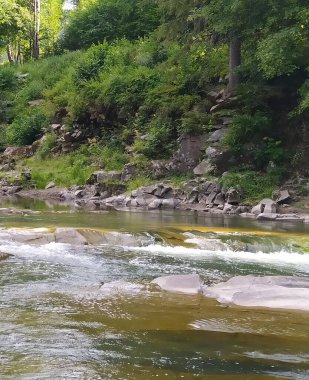 Yaremche 'deki Dağ Nehri Prut, Ivano-Frankivsk bölgesi, Ukrayna