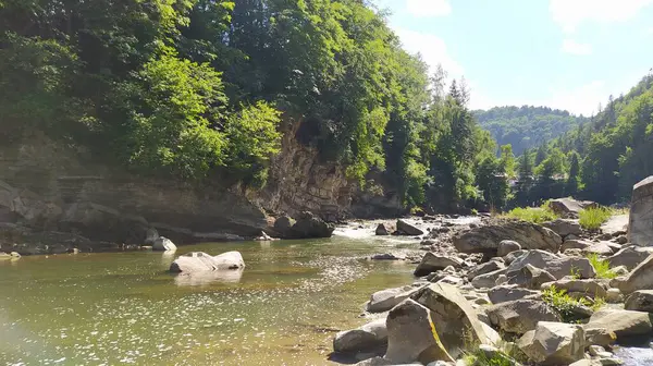 Yaremche 'deki Dağ Nehri Prut, Ivano-Frankivsk bölgesi, Ukrayna