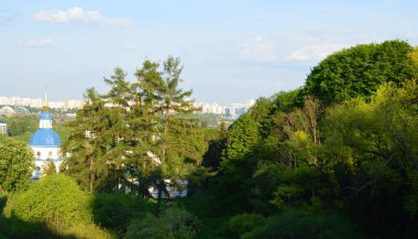 Kyiv 'deki Botanik Bahçesi. Leylak çalıları ve kilise.