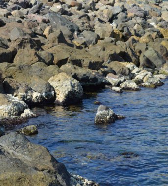 Deniz kıyısındaki taşlar