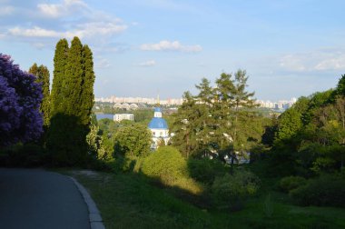 Kyiv 'deki Botanik Bahçesi. Leylak çalıları ve kilise.