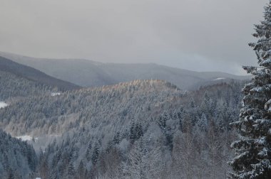 Karla kaplı dağların manzarası - Bukovel