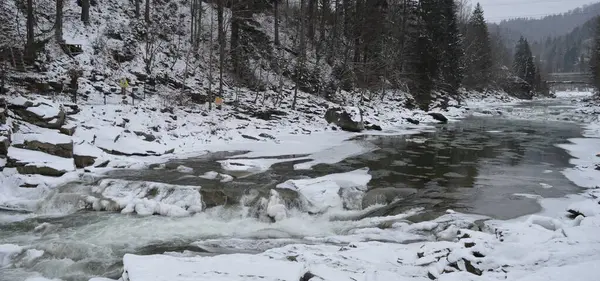 Karpatların karla kaplı dağları Prut ve Ladin ormanlarının nehir akıntıları - Yaremche