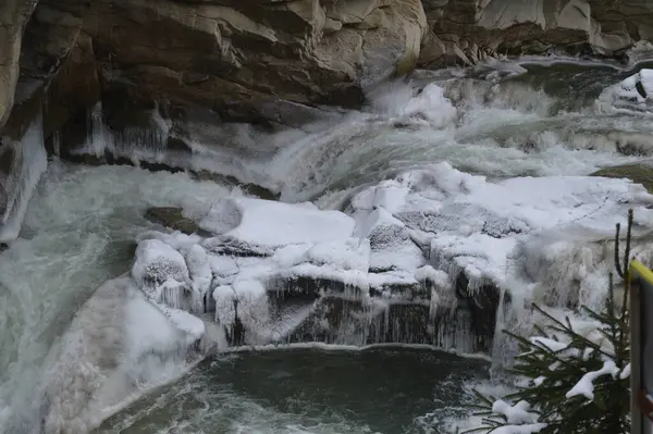 Karpatların kayaları buzla kaplıdır, Prut nehri akıntısı Bukovel.