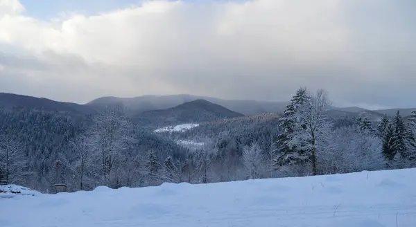 Karpatlar 'ın kar kaplı dağlarının kış manzarası - Bukovel