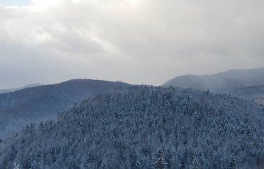 Karpatlar 'ın karla kaplı dağlarının kış manzarası. Bukovel' in doğası.