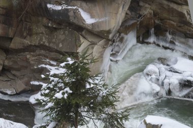 Prut Nehri 'nin üst manzarası, Karpatlar' ın karlı dağlarında ladin ve kayalar - Ukrayna 'da seyahat