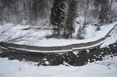 Top view of the Prut River and the forest in the Carpathian Snow-capped Mountains - travel in Ukraine clipart