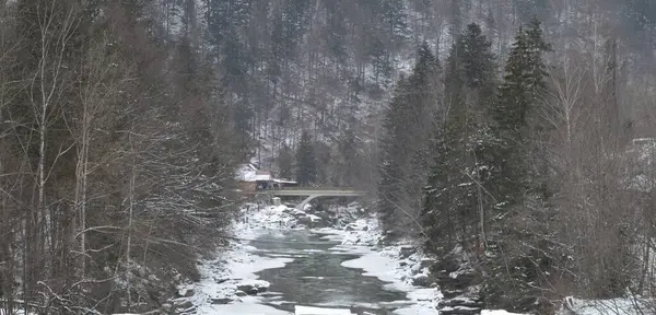 Prut Nehri, Bukovel, Ukrayna 'daki dağlar, süslü püslü köprüler.