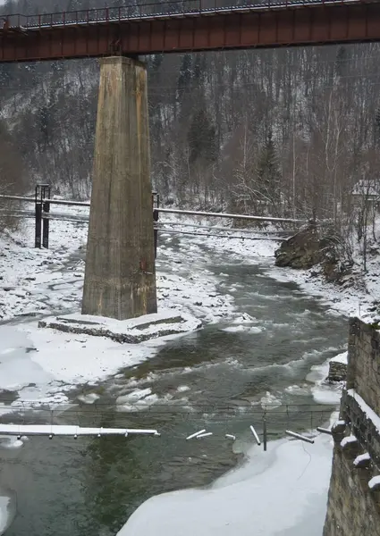 Eski köprü, dağlar ve orman, nehirde kar, Bukovel, Ukrayna