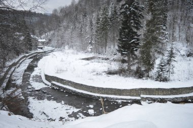 Dağların ve kozalaklı ormanların ortasındaki nehir, Bukovel, Ukrayna