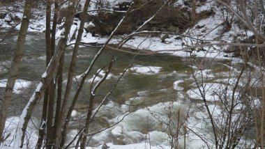 Ormanın ortasındaki Prut Nehri 'nin buzlu suları, Bukovel, Ukrayna