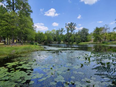 Kyiv 'deki Hidropark' taki gölün manzarası. Sakin su ve çiçek açan nilüferler.