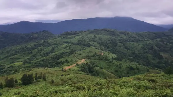 Gürcistan 'daki Kafkas Dağları - güzel doğa