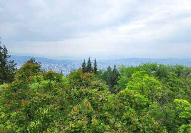 Tiflis, Gürcistan 'ın panoramik manzarası