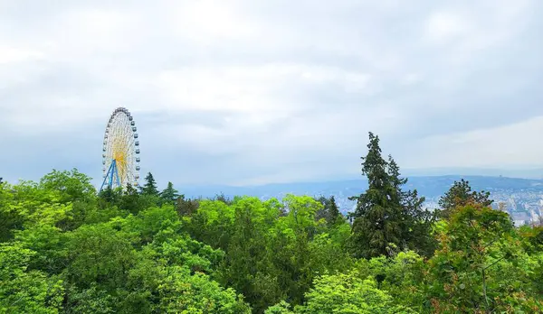 Tiflis, Gürcistan 'ın panoramik manzarası
