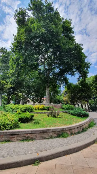 Leonidze Parkı Tiflis, Gürcistan 'da merkez ağaç özelliği ile