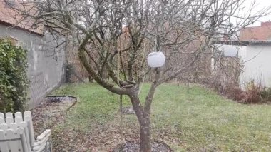 Banliyö bahçesine ilk kar yağışı