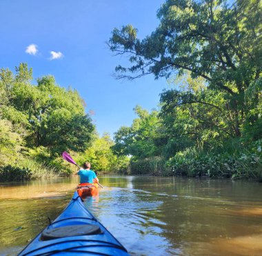 Huzurlu bir orman nehrinde kano yaparken