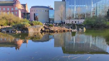 Modern kütüphanenin yanındaki yabani kazlar ve llake - Malmö, İsveç