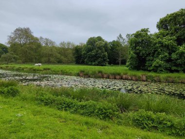 İsveç, Skone 'daki Torup Kalesi Parkı. Göl, iki at otluyor.