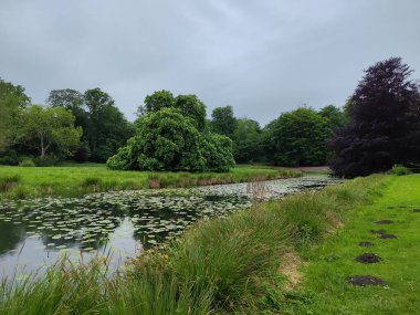 Bara, Skone, İsveç yakınlarındaki Torup Kalesi Parkı
