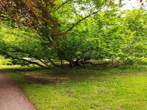 Bara, Skone, İsveç yakınlarındaki Torup Kalesi Parkı