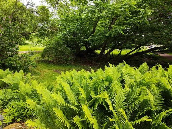 Bara, Skone, İsveç yakınlarındaki Torup Kalesi Parkı