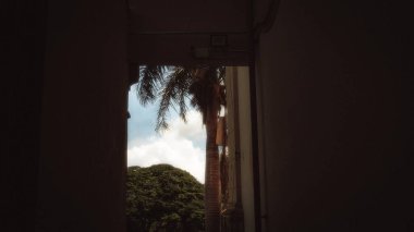 İsrail 'in kuzeyindeki Akdeniz adasının güzel manzarası.