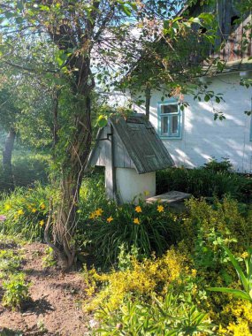 Parkın güzel manzarası