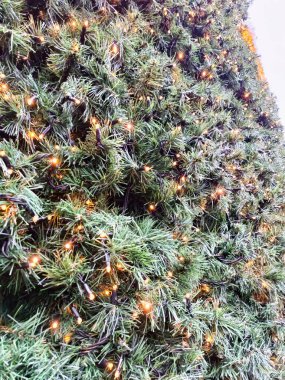 Yılbaşı tatilinde ışıkları yanan yeşil bir Noel ağacı. Yüksek kalite fotoğraf