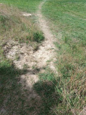 Yumuşak çayırlar boyunca uzanan sakin bir patika keşifleri davet ediyor. Sakin bir ortamda doğa yürüyüşleri ve açık hava maceraları için mükemmel..