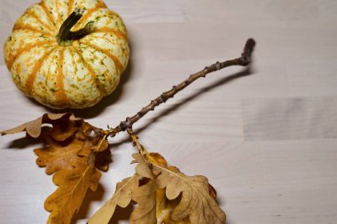 Canlı bir balkabağı ve rengarenk yapraklar kırsal ahşap bir masa üzerine zarif bir şekilde yerleştirilir ve güzel bir görsel ekran oluşturur. Sonbahar, sarı, turuncu, soğuk, ılık mevsim.