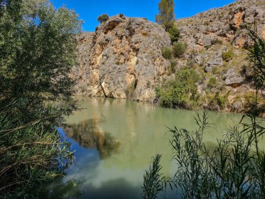 Ormandaki güzel nehir