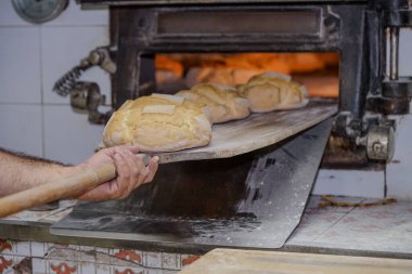 person is cooking bread in an iron oven, using firewood. high quality photo