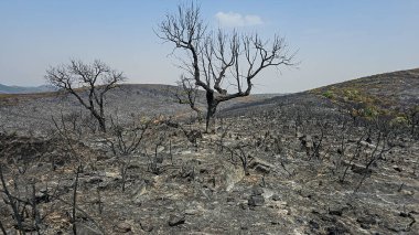 Bir orman yangını bir dağı tahrip eder ve ardında bıraktığı siyah kalıntıları görebilirsiniz. Yaşamın olduğu yerde ölü bitki örtüsü..