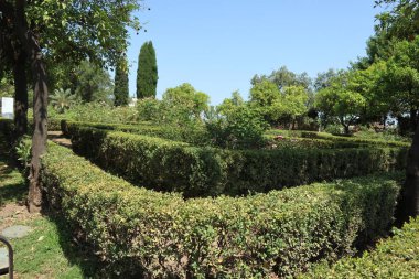 Palatine Tepesi 'nin bahçeleri, yeşil çitleri ve ağaçları olan, mavi gökyüzü olan güneşli bir yaz günü olan Roma döneminden değil.