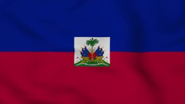 Gri arka planda ulusal bayrağı olan Haiti bayrağı.