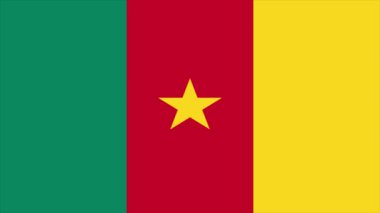 Kamerun bayrağı, resmi renkler ve orantı, vektör illüstrasyonu