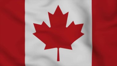 Gri arkaplanda Kanada bayrağı