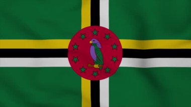 Dominica bayrağı dünyada bir ülkedir. 3d illüstrasyon