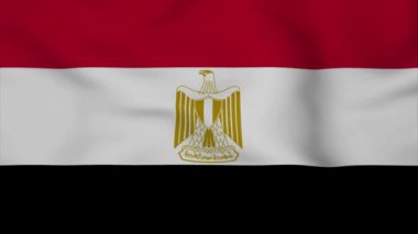 Mısır bayrağı sallıyor. Yüksek kalite çizim. Mükemmel ve lüks için mükemmel.