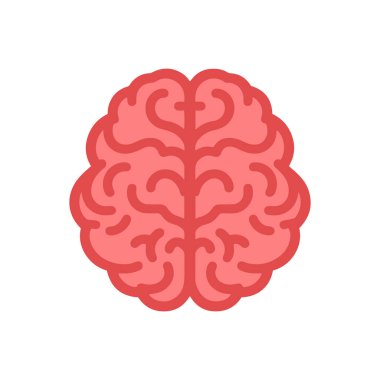 İnsan beyni tıbbi vektör gösterimi.