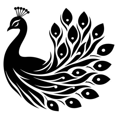 Güzellik tavus kuşu vektör silueti çizimi.