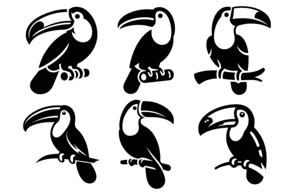 Tukan kuşu, şube set siluet vektör illüstrasyonunda durur.