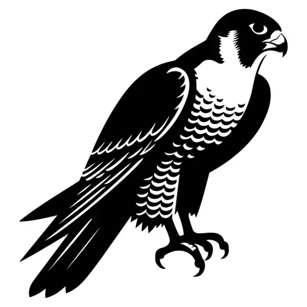 Peregrine Falcon siluet vektör çizimi.